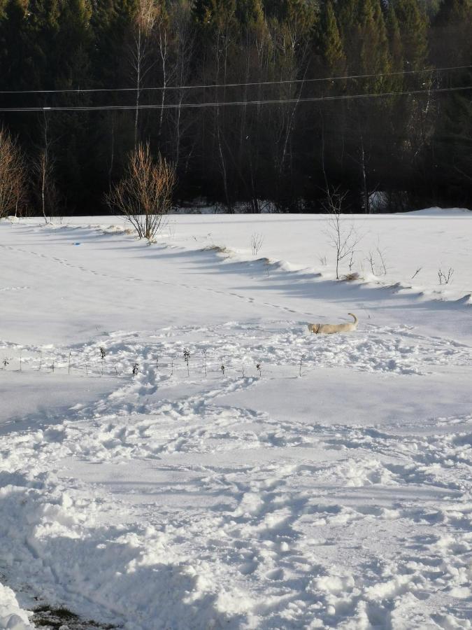 Chata Umilajka Villa Czarna  Eksteriør bilde